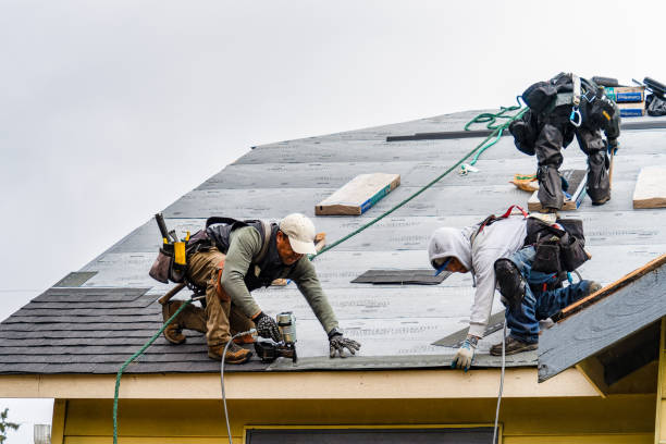 Professional Gutter Installation technician working in Fate, TX